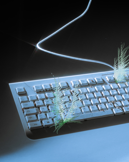 White keyboard with wispy green leaves sprouting from it.