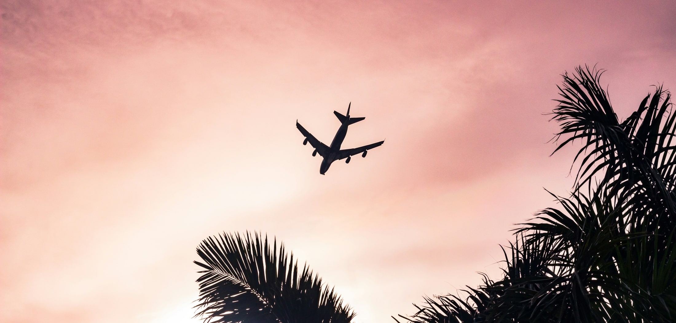 silhouette of plane