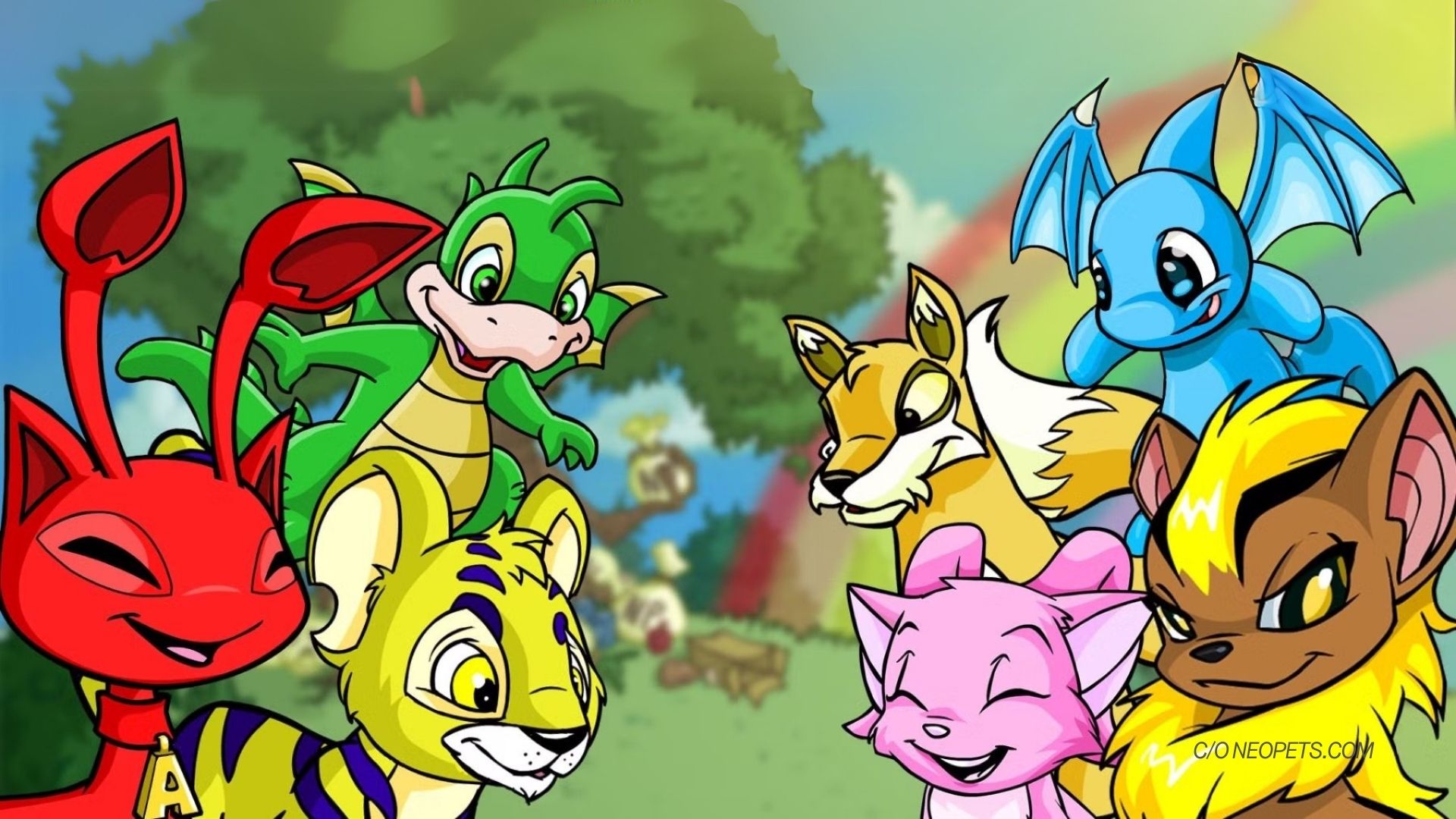 What financial literacy products can learn from Neopets